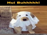 Wie furchteinfl��end