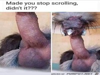 Du hast beim Scrollen gestoppt