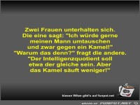 Zwei Frauen unterhalten sich