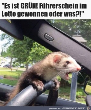 Fahr-endlich-es-ist-grn.jpg auf www.funpot.net