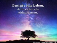 Geniee das Leben