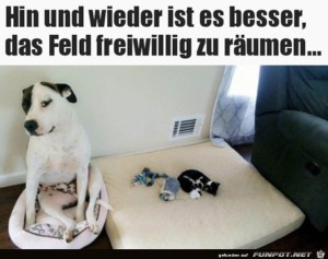 Freiwillig-das-Feld-ger�umt.jpg auf www.funpot.net