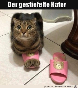 Das-ist-mein-Schlappen.jpg auf www.funpot.net