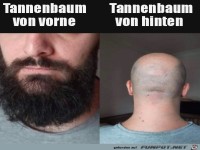 Kommt hin