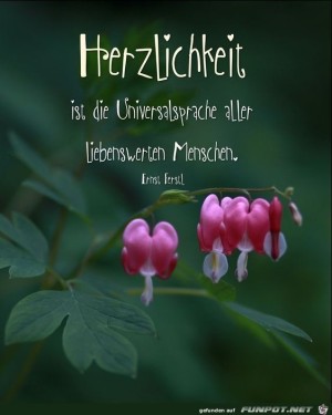 Herzlichkeit-ist-die-Universalsprache.jpg auf www.funpot.net