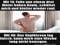 Vom Baumsturz zu Kissenproblemen