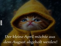 Kuschelige Wetterverwirrung