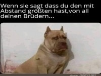 Da kann man schon mal m�rrisch gucken