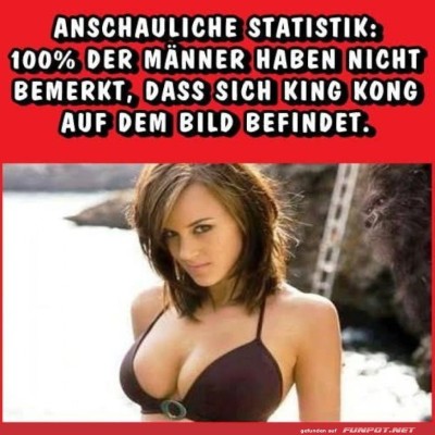 King-Kong-im-Hintergrund?-Unm&ouml;glich!.jpg von Brenda22