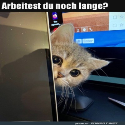 Arbeitest-du-noch-lange?.jpg von Lucie37