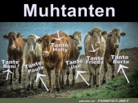 Muhtanten: Die Gang der Weide