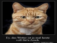 Schei� Wetter