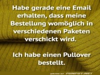 Pulli bestellt