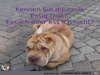 Kennen Sie die neue Essig-Diaet Ess ich oder ess ich nich