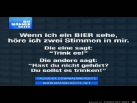 Die zwei Stimmen in mir