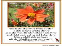 Johann Wolfgang von Goethe