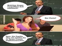 welches Organ vergr�ssert sich zehnfach?...