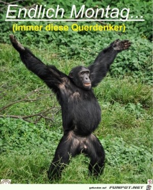 endlich-Montag.jpg auf www.funpot.net