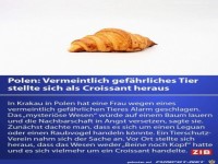 Vermeintlich gef�hrliches Tier
