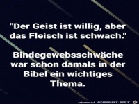 Die Bindegewebsschw�che