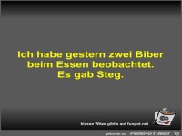 Ich habe gestern zwei Biber beim Essen beobachtet