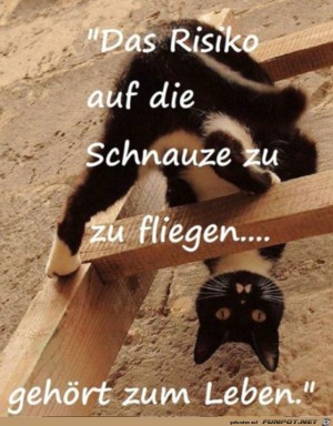 Risiko.jpg auf www.funpot.net