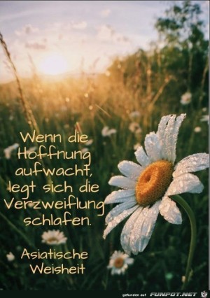 Wenn-die-Hoffnung-aufwacht.jpg auf www.funpot.net