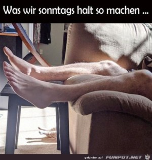 Chillen-am-Sonntag-mit-der-Katze.jpg auf www.funpot.net