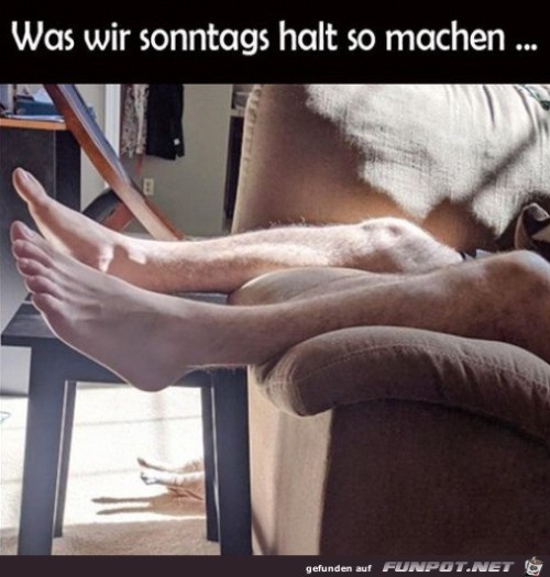 Chillen-am-Sonntag-mit-der-Katze.jpg auf www.funpot.net