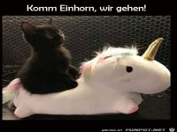 Komm Einhorn...