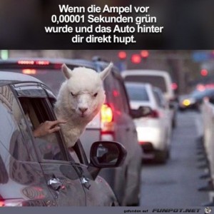 fun-Bild: Dieser Blick