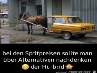 Der H�-brid