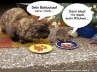 Klopf mir doch auf den R�cken