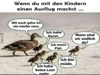 Entenfamilie Ausflug Chaos