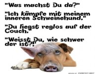 Kampf mit dem inneren Schweinehund
