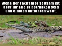 Krokodil-Taxi fr spontane Partygnger