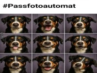 Kommando: Passfoto Modus aktivieren!