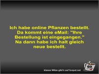 Ich habe online Pflanzen bestellt