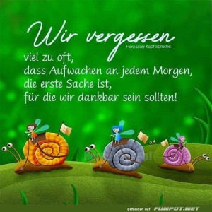 herz-Bild: Wir vergessen viel zu oft