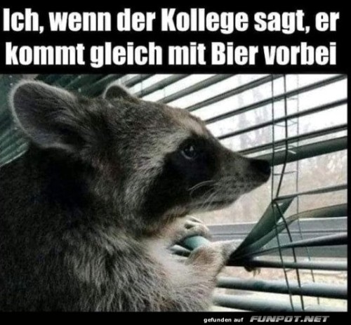 Wenn-der-Kollege-Bier-verspricht.jpg auf www.funpot.net