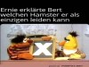 weiter