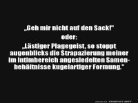 Bitte keine intimen Plagegeister!