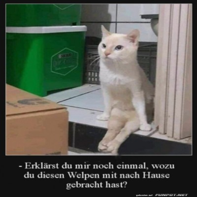 Erkl&auml;r-mir-das-nochmal.jpg von Josefin