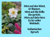 weiter