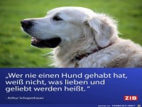 wer nie einen hund gehabt hat