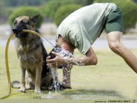 Mal schnell Haare waschen