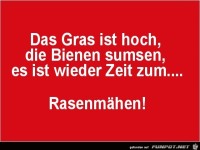 das Gras ist hoch......