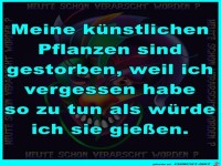 Meine Pflanzen