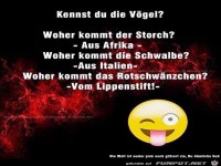 Kennst Du die Voegel