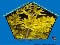 Die Geschichte lehrt